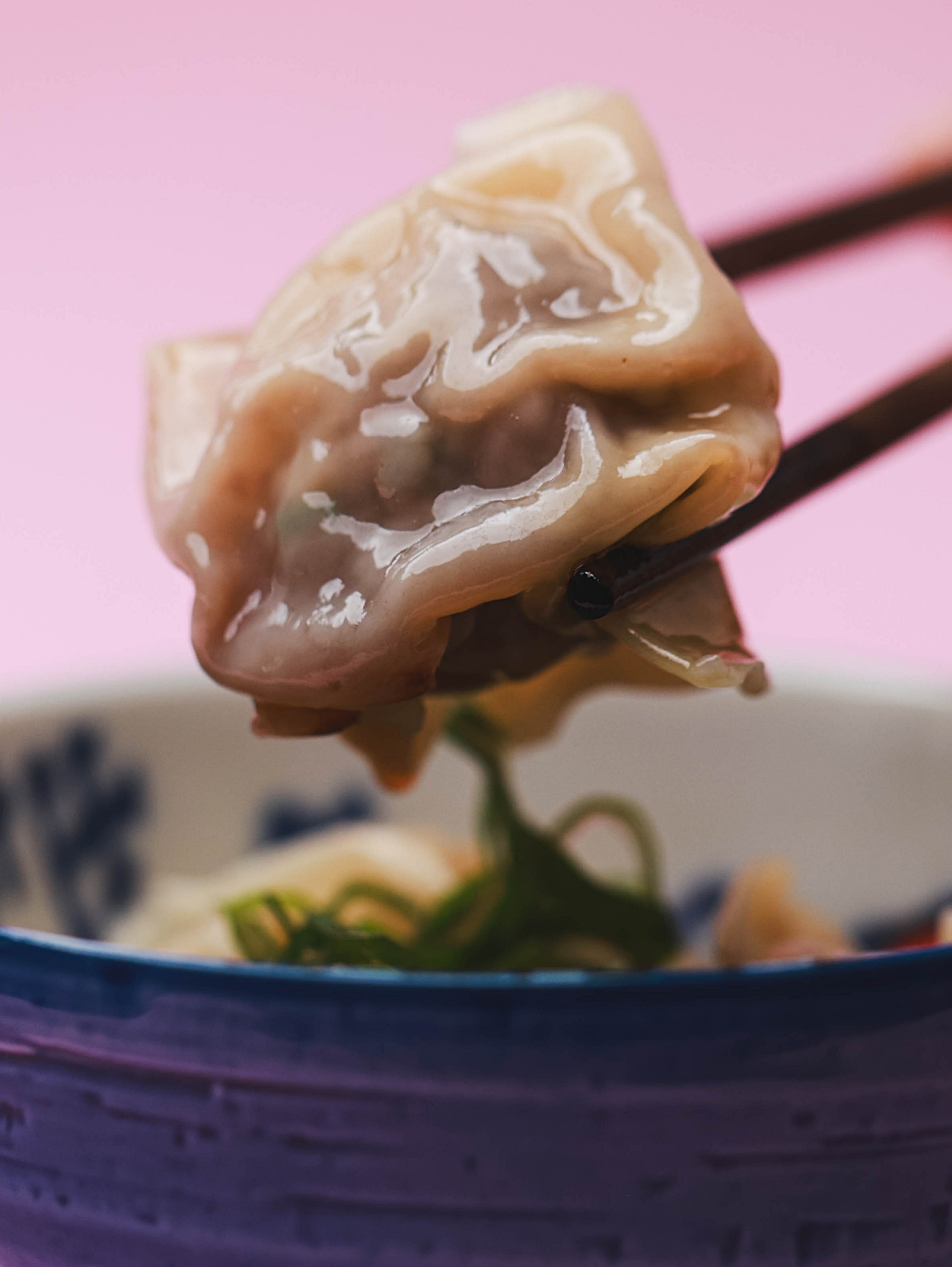 Gyoza